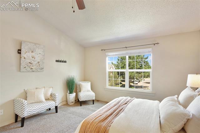 3423 Queen Anne Way