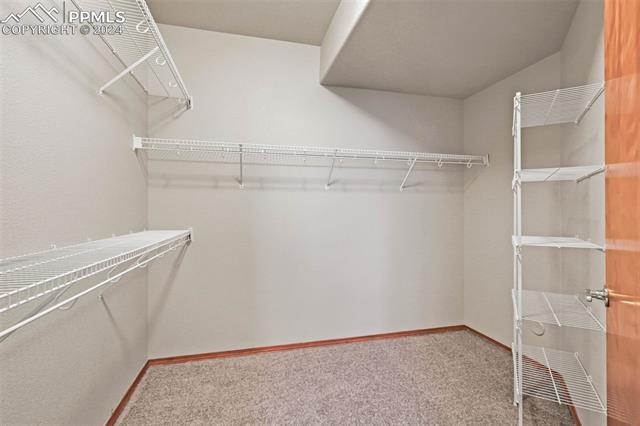 12215 Big Cypress Drive