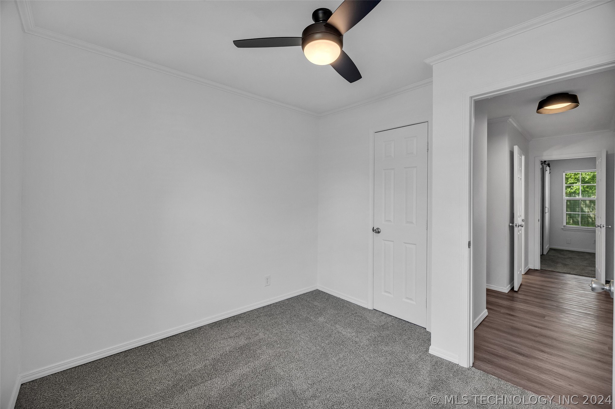 204 W Canton Street