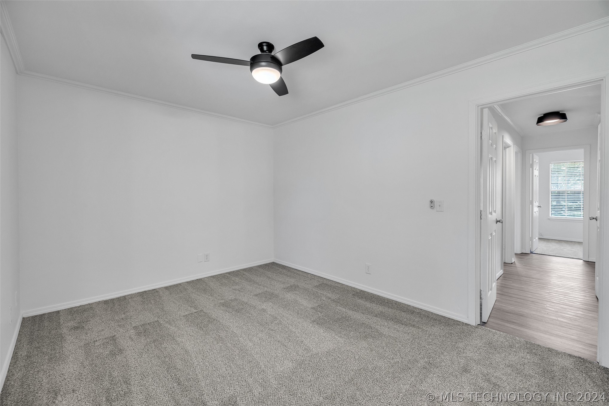 204 W Canton Street