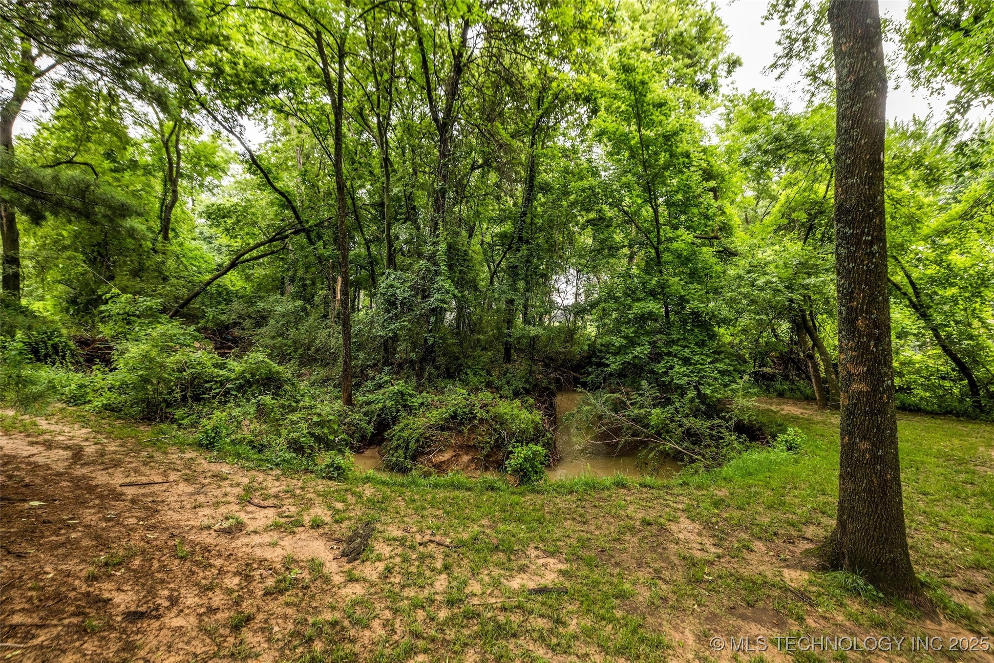 9601 Spring Lake Drive