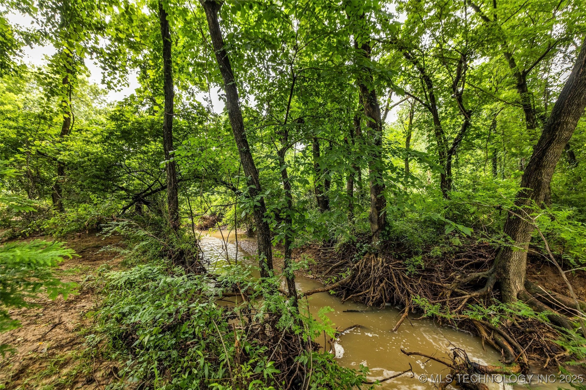 9601 Spring Lake Drive