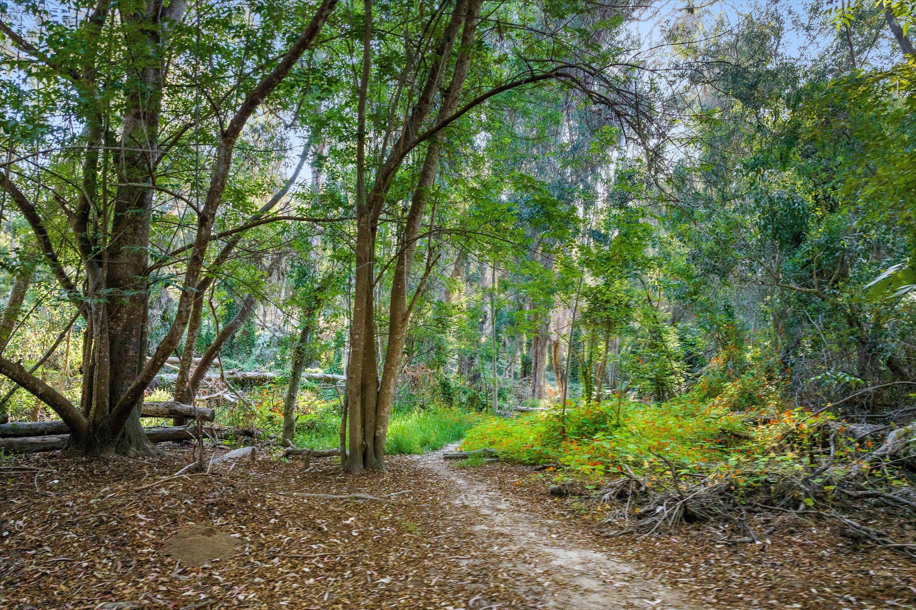 7465 Hollister Avenue Avenue Spc 329