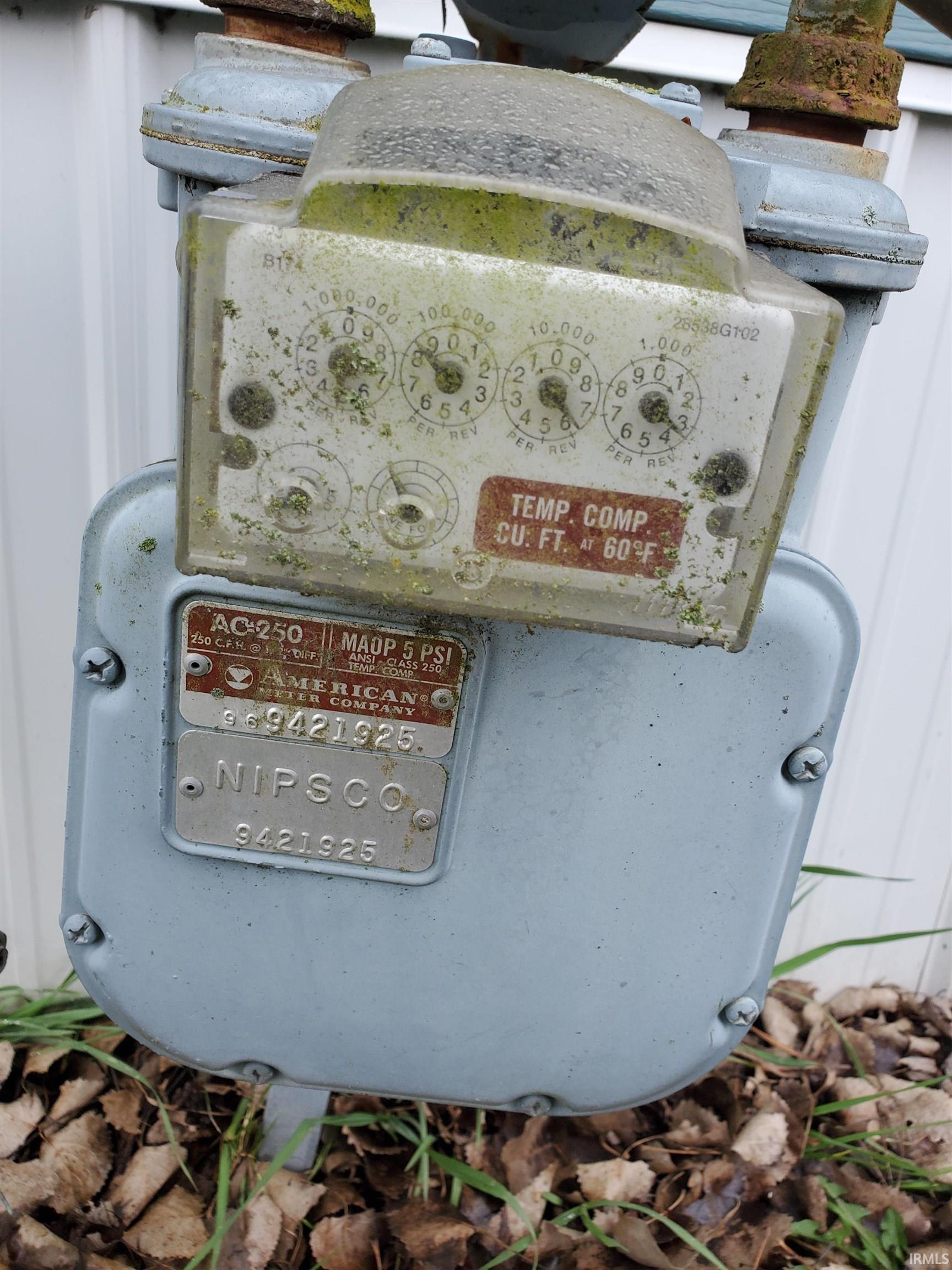 3479 Blissroad Drive