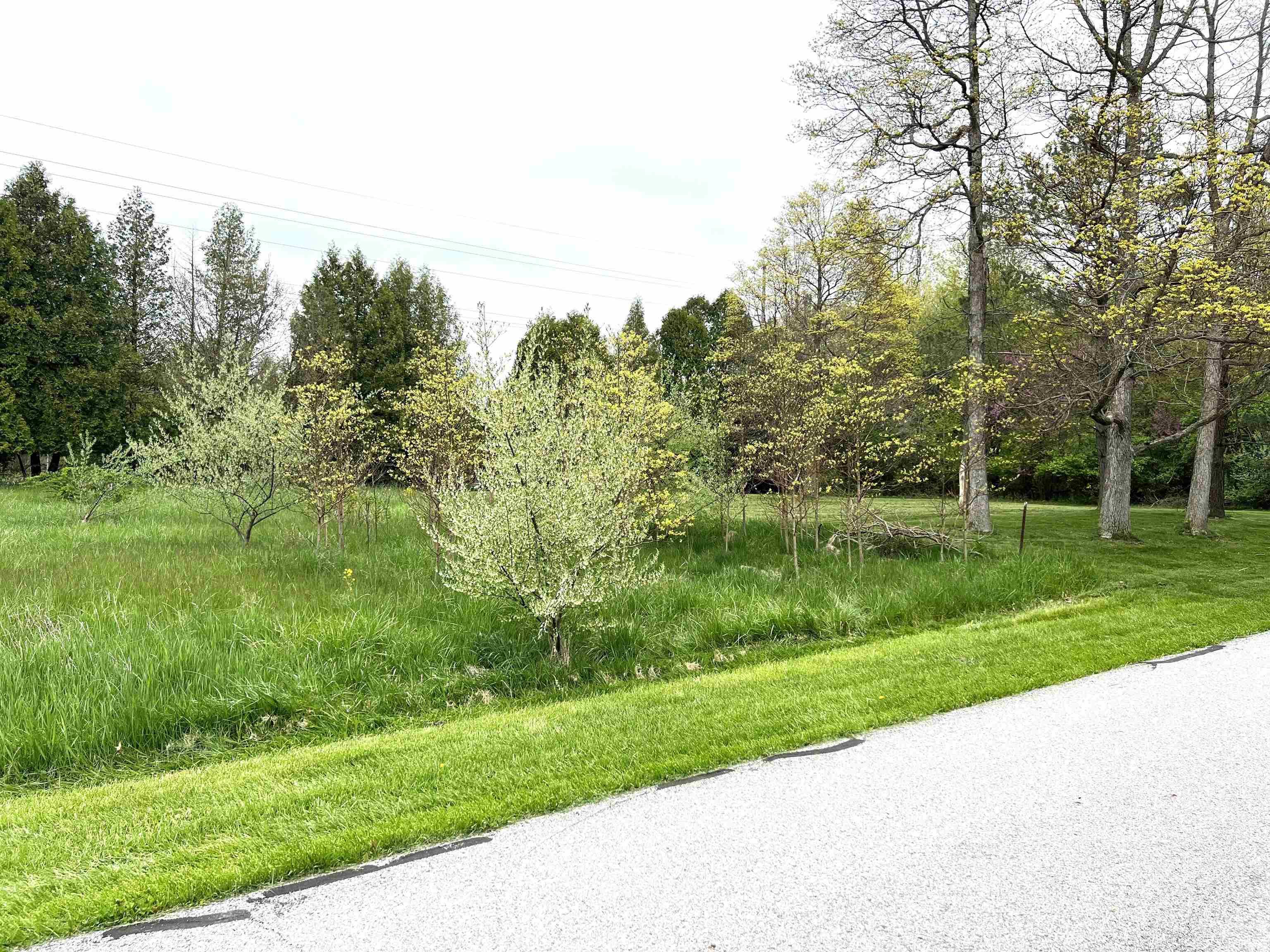 TBD Hiawatha Trail