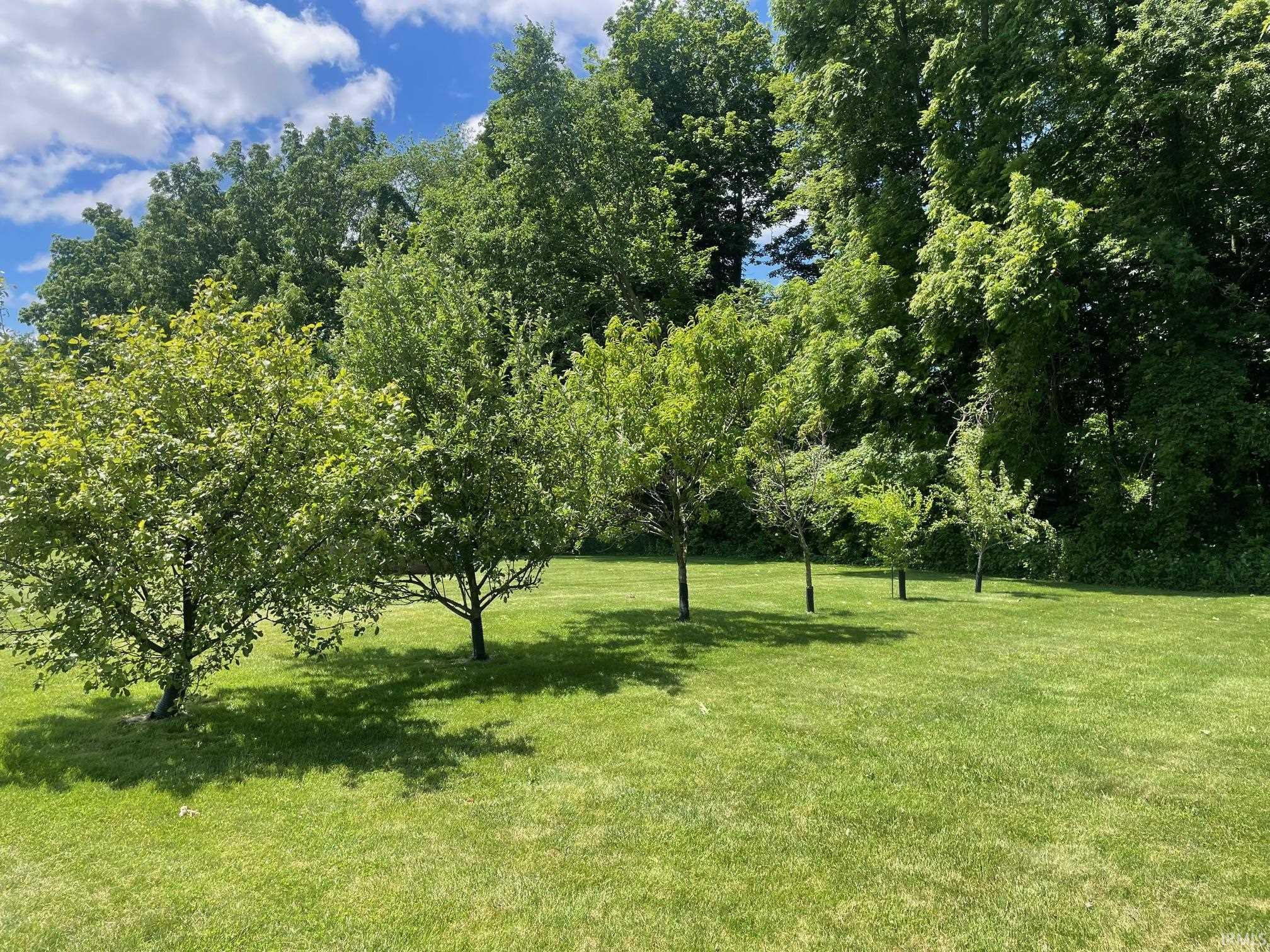 11063 Shadylane Drive