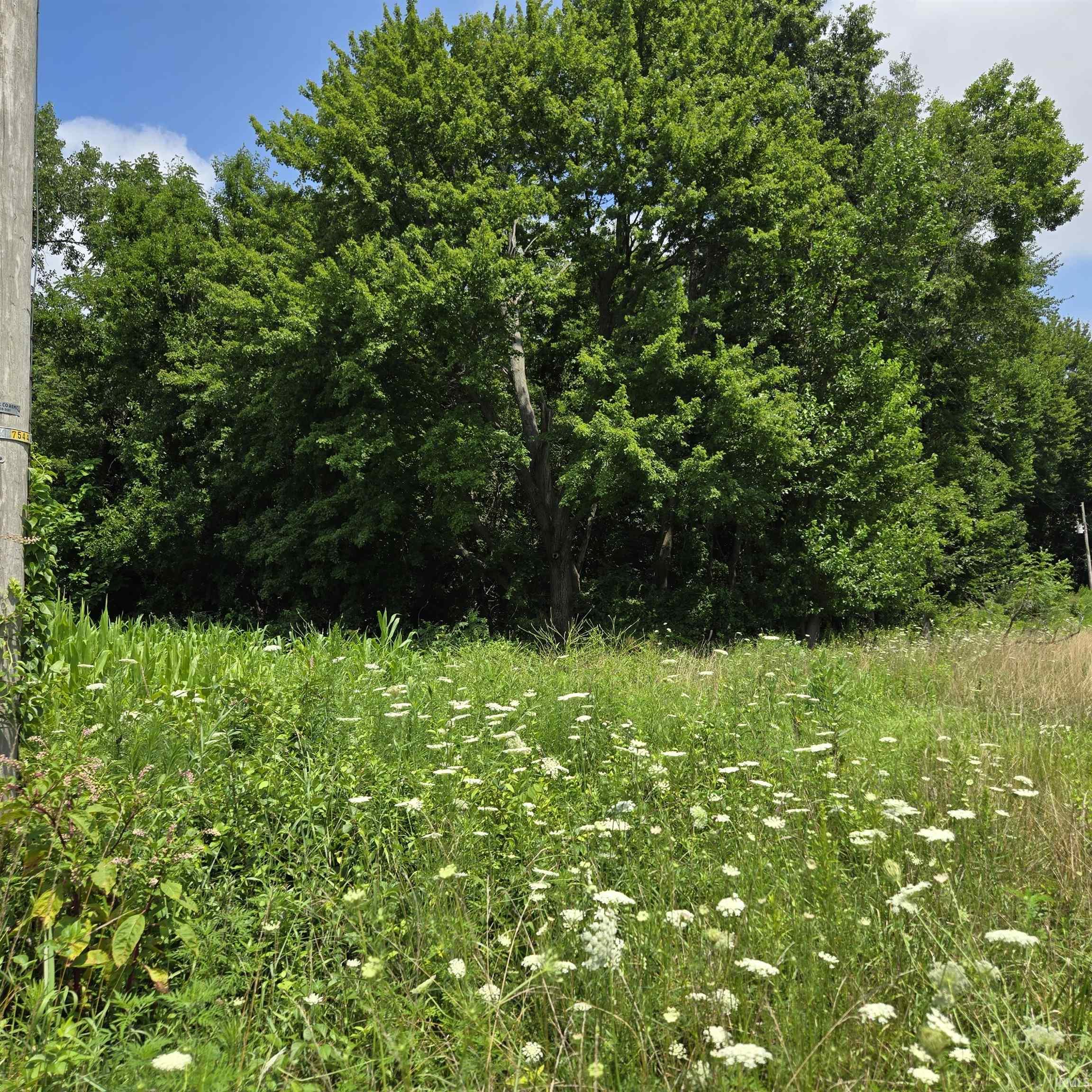 TBD Oak Road