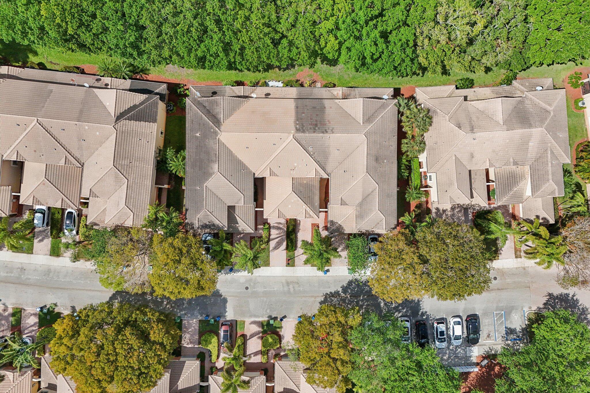 3875 Tree Top Drive