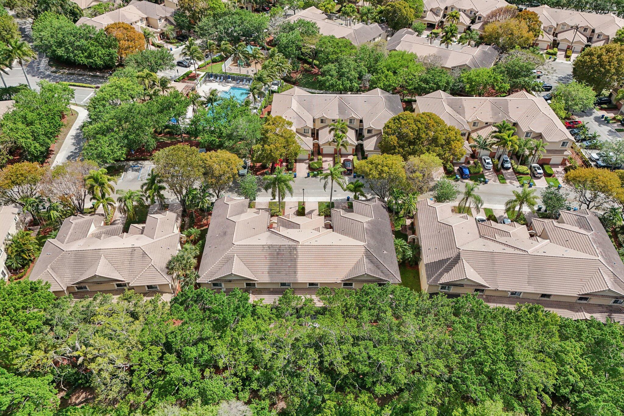 3875 Tree Top Drive