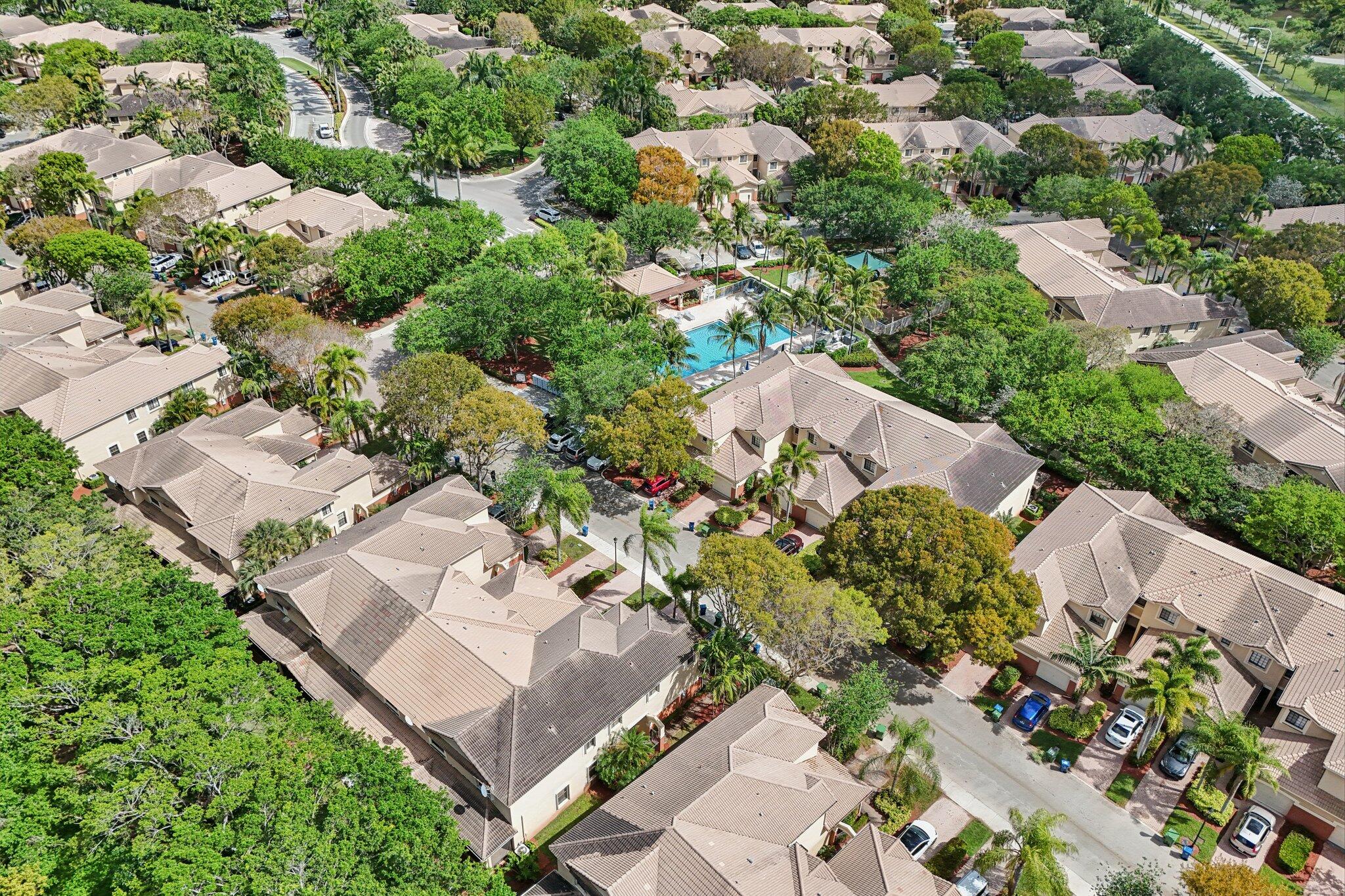 3875 Tree Top Drive