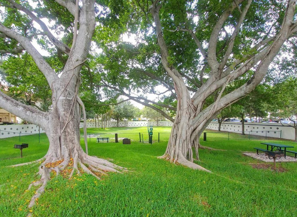 301 Olivewood Pl 0130