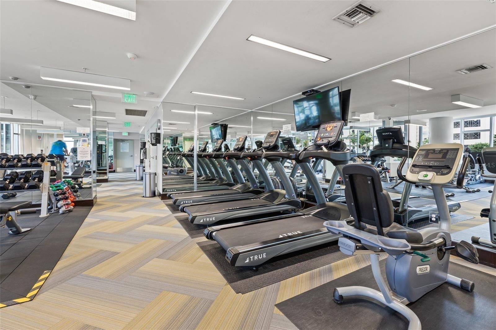 Condo fitness room with mirrored walls, rows of treadmills, and stationary bikes.