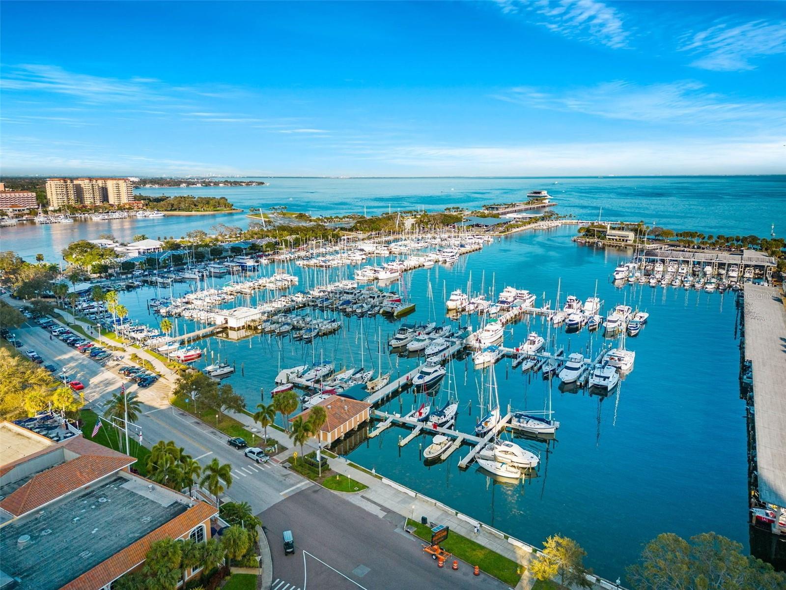 Aerial view of a waterfront marina crowded with boats and bordered by palm-lined streets.