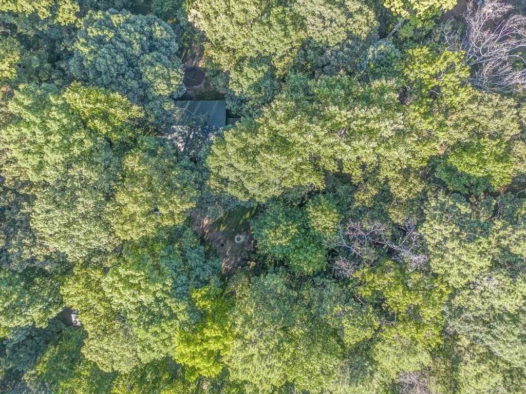 1441 Fire Tower Road