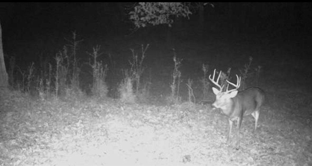 455 River Bend Road SW