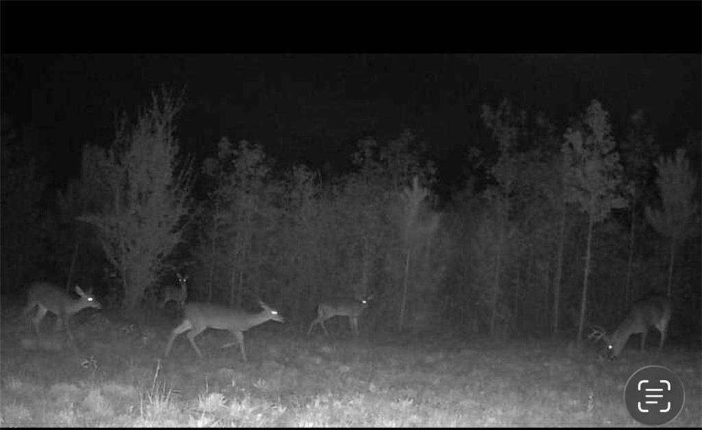 455 River Bend Road SW