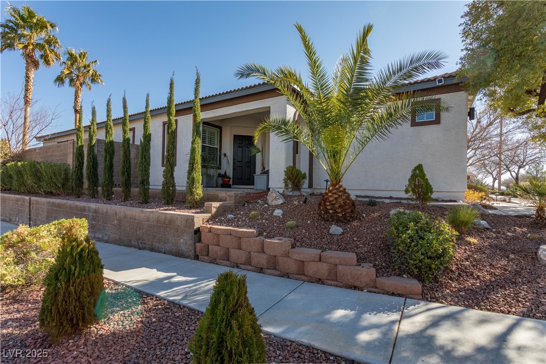 1534 Shady Elm Street