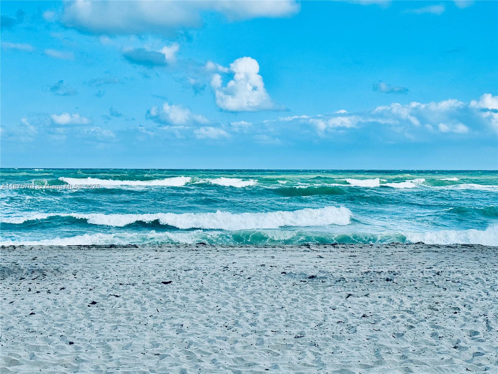 2080 S Ocean Dr # 1711, Hallandale Beach Unit: 1711