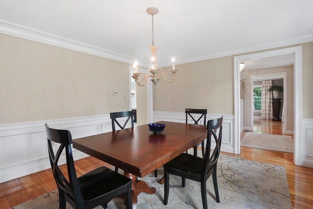 35 Wilmor Rd