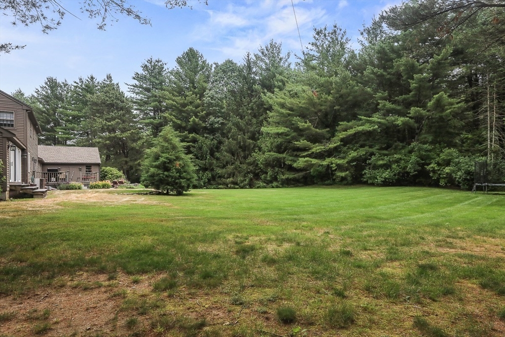 35 Wilmor Rd