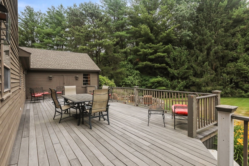 35 Wilmor Rd
