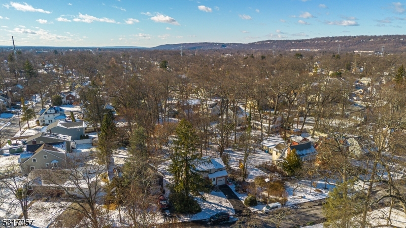 71 Willoughby Rd