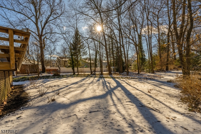 71 Willoughby Rd