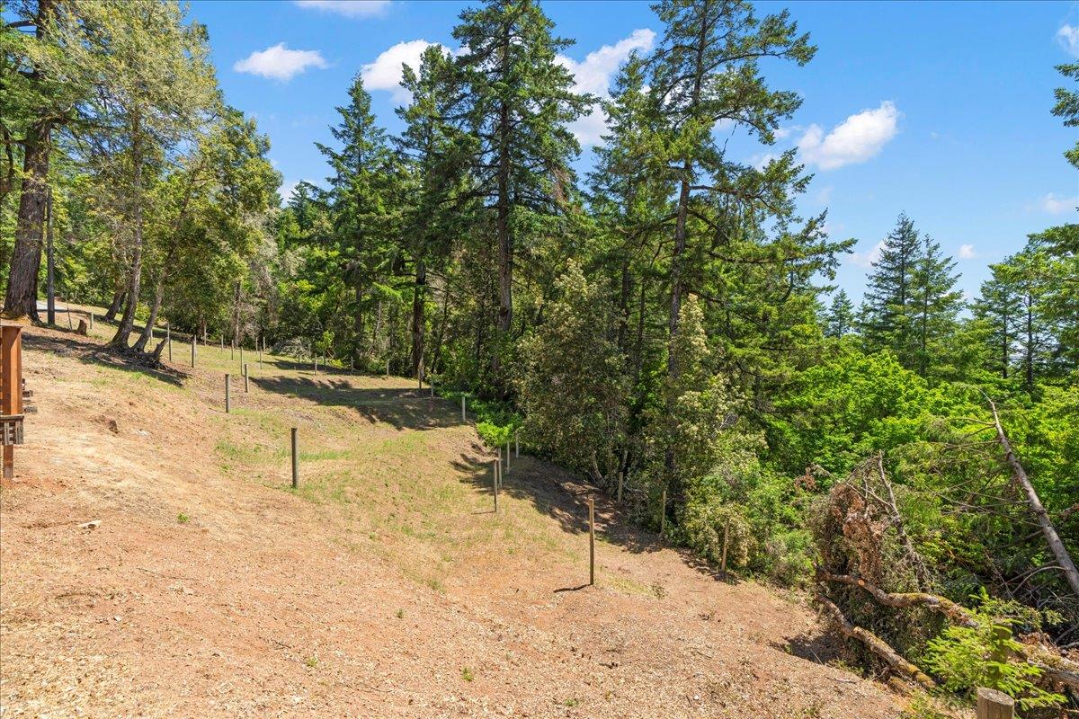 12340 Footpath TRL