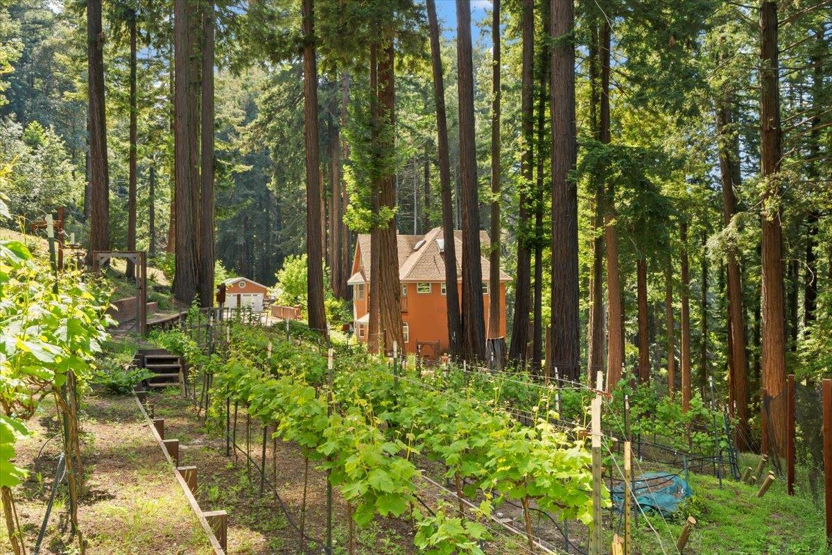 17957 Mountain Charlie RD