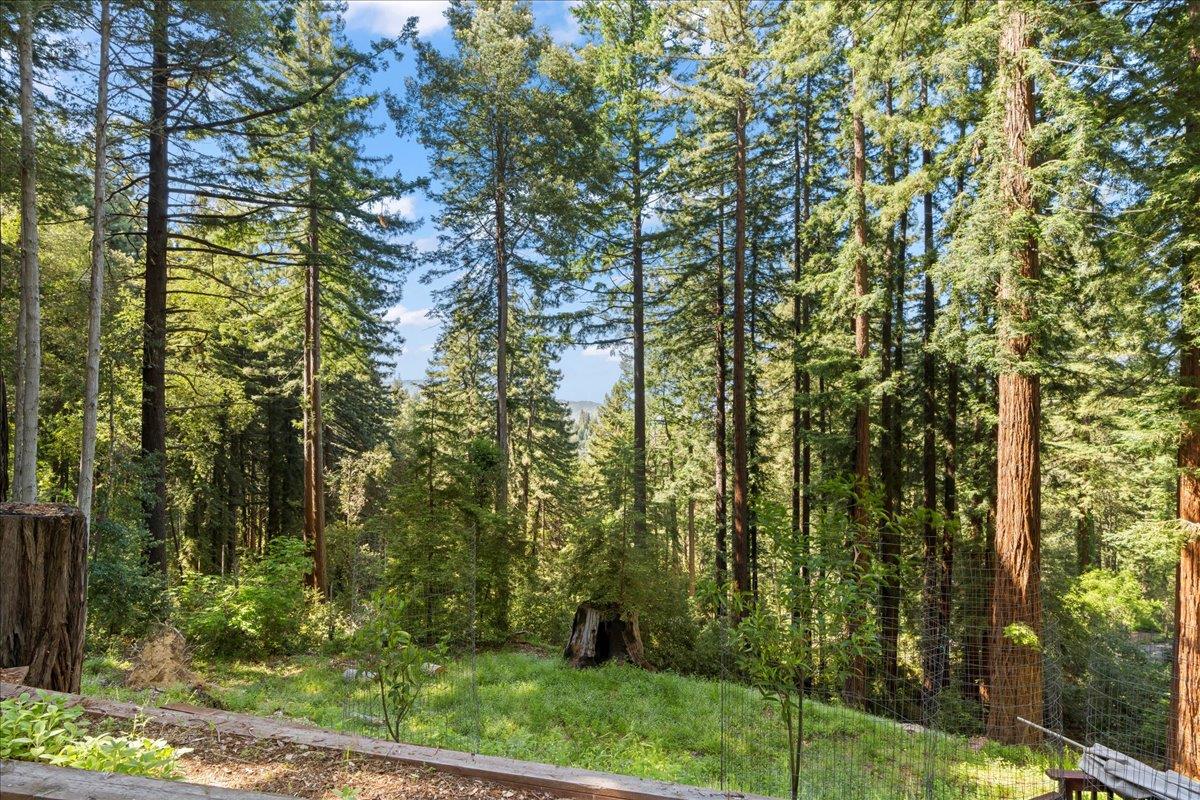 17957 Mountain Charlie RD