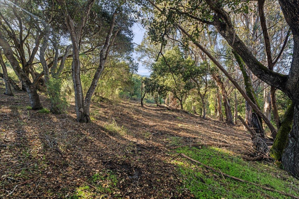 0A Old Santa Cruz HWY