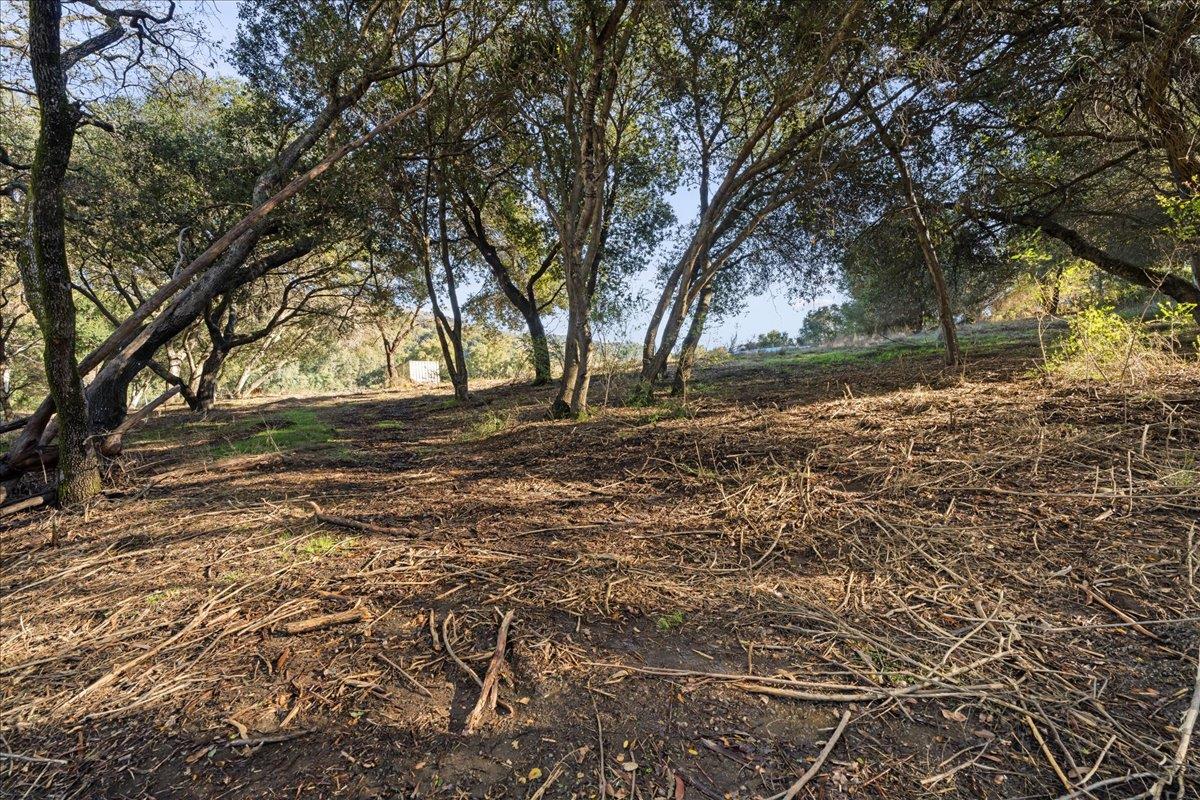 0A Old Santa Cruz HWY