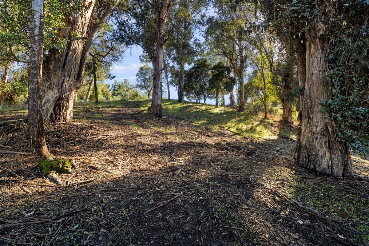 0A Old Santa Cruz HWY