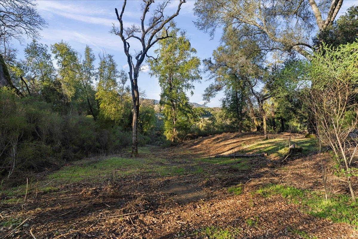 00 Old Santa Cruz Highway