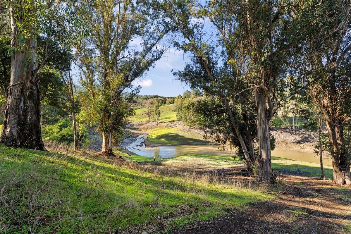 00 Old Santa Cruz Highway