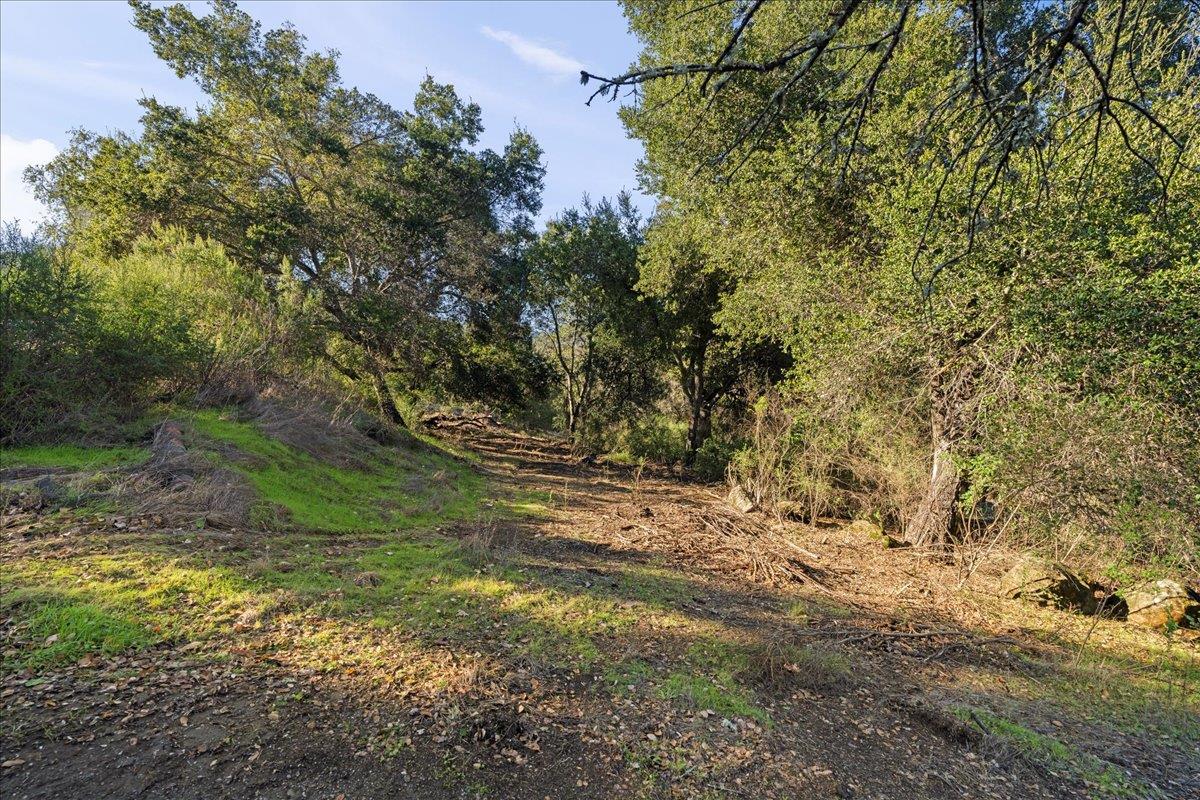 00 Old Santa Cruz Highway