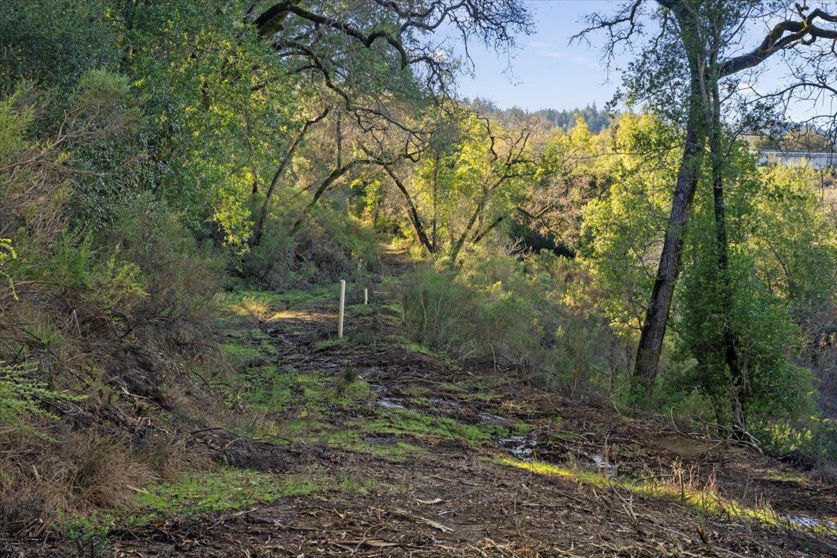 00 Old Santa Cruz Highway