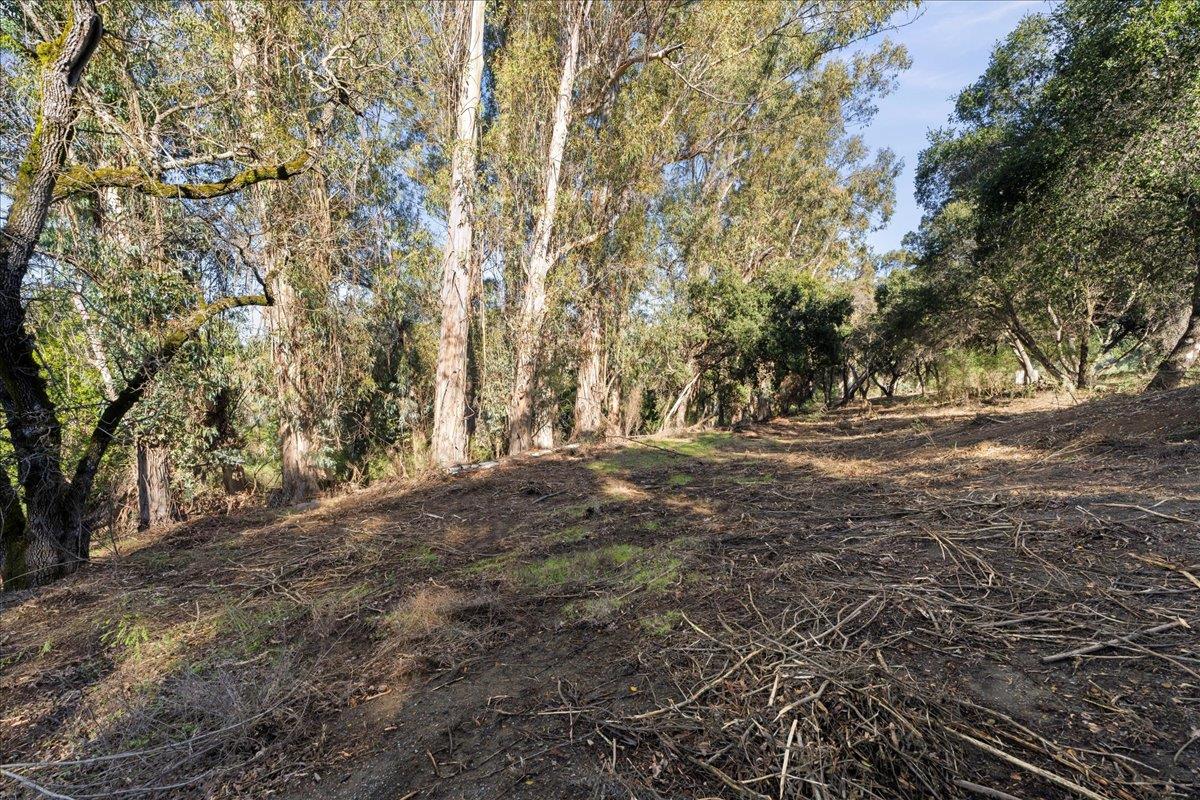 00 Old Santa Cruz Highway