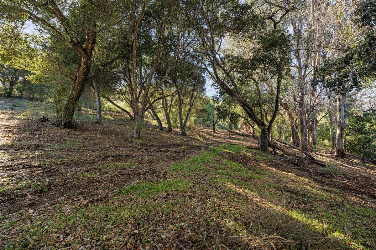 00 Old Santa Cruz Highway