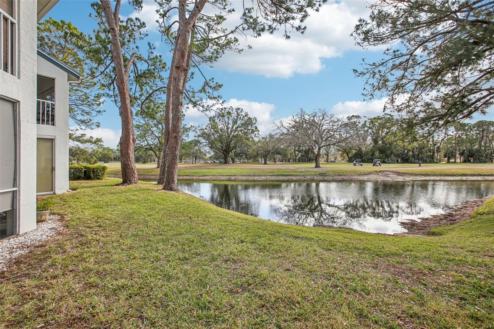3601 INDIGO POND DR