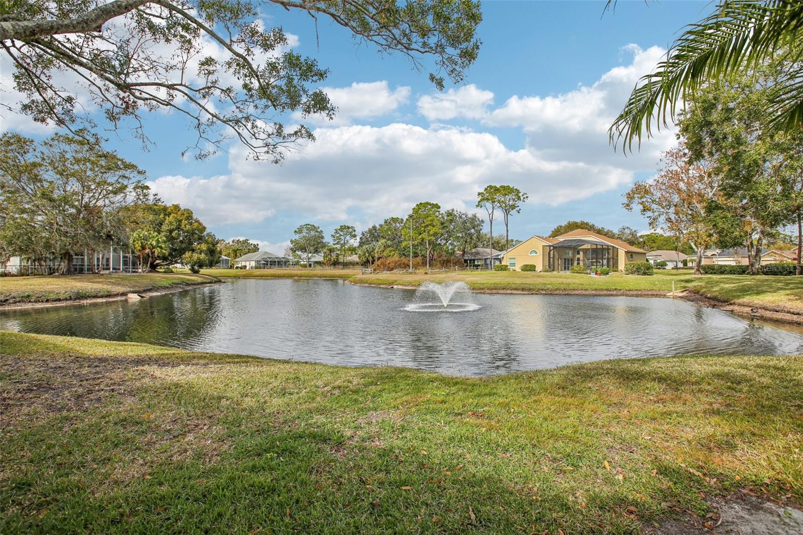 3601 INDIGO POND DR