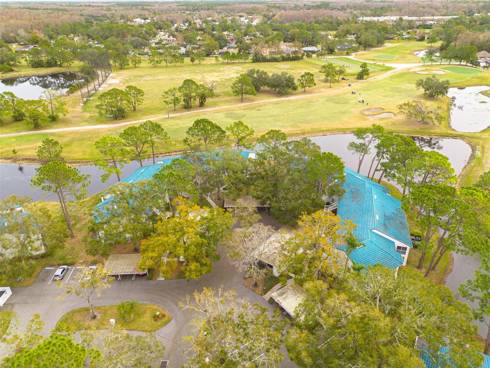 3609 INDIGO POND DR