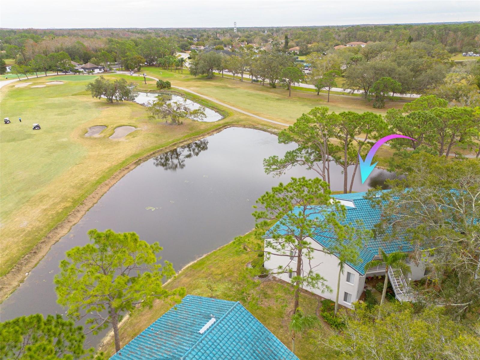 3609 INDIGO POND DR