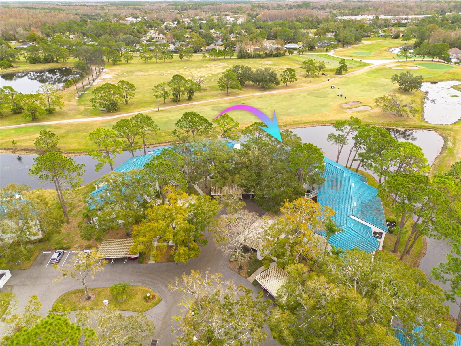 3609 INDIGO POND DR