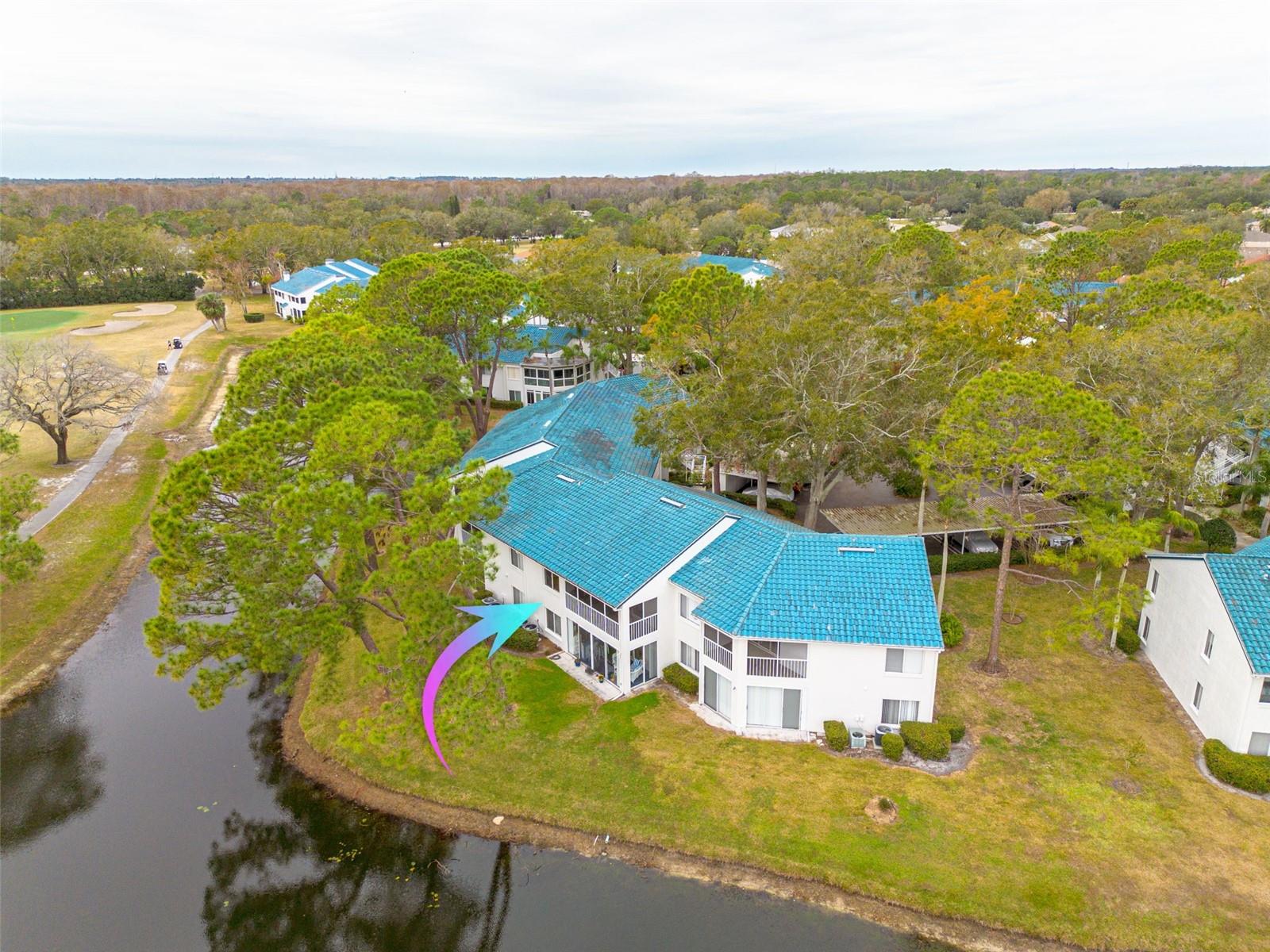 3609 INDIGO POND DR