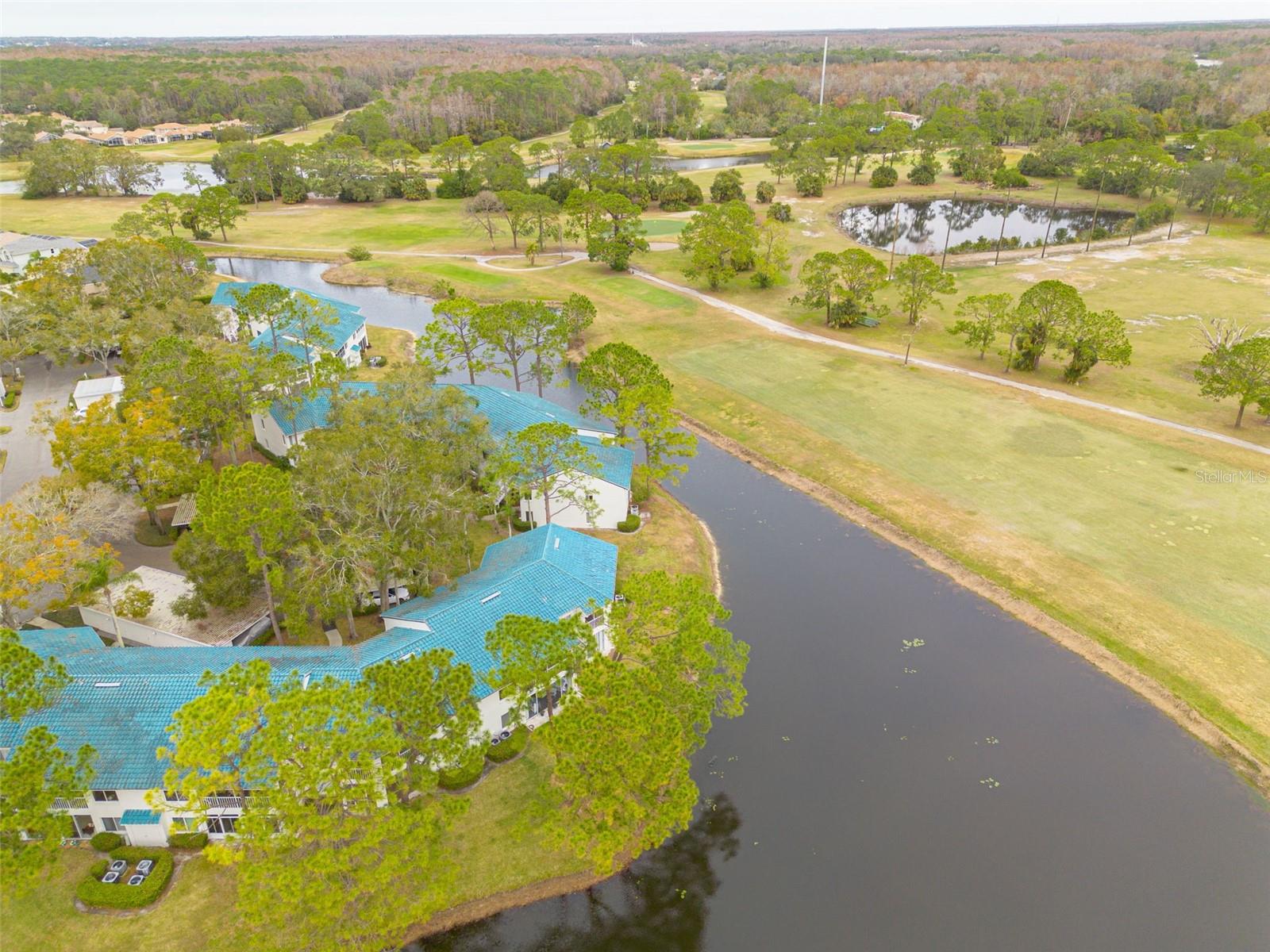 3609 INDIGO POND DR