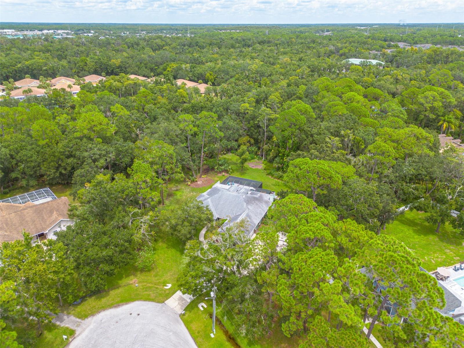 10905 SPUR CT