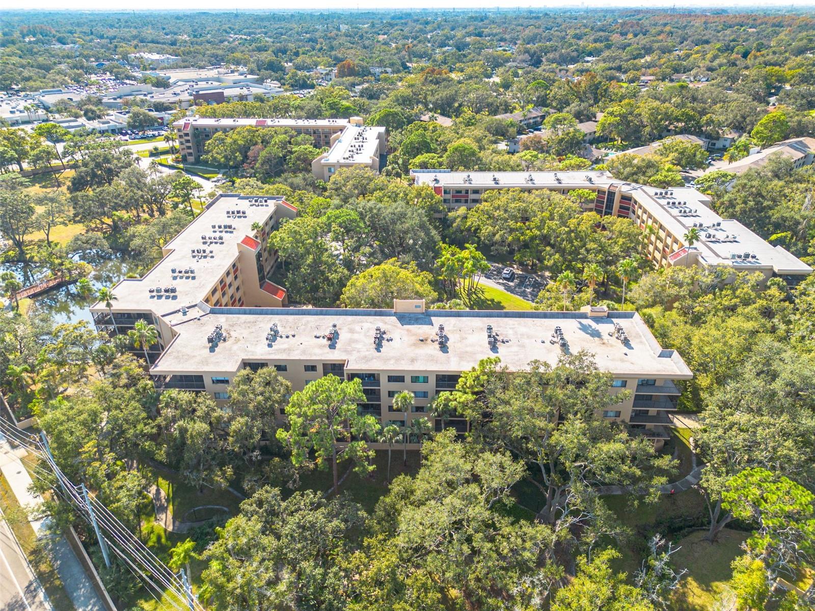 3062 EASTLAND BLVD #406