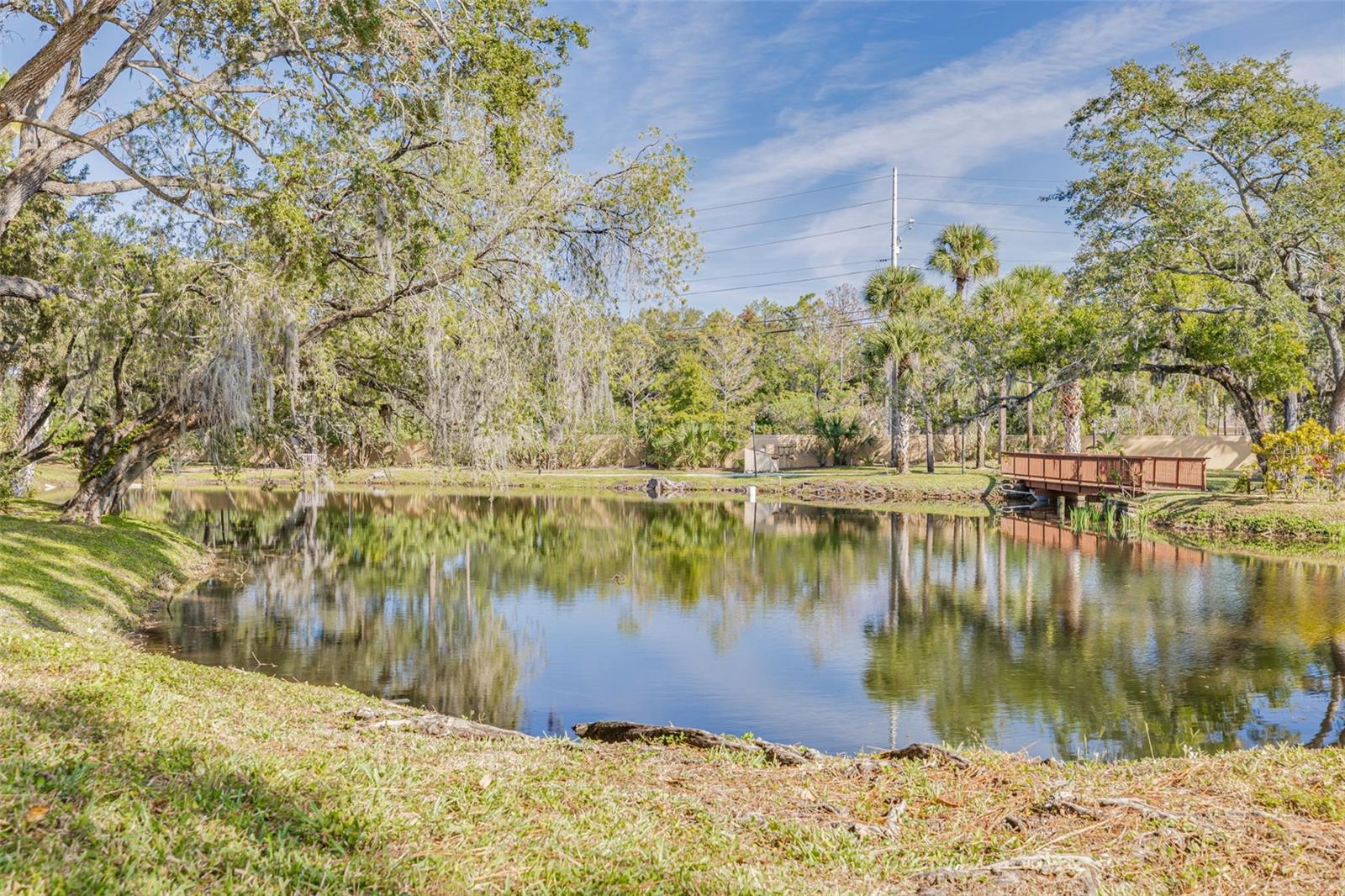 3062 EASTLAND BLVD #406