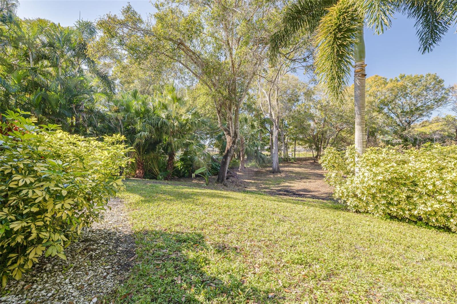 271 SWEETGUM CT